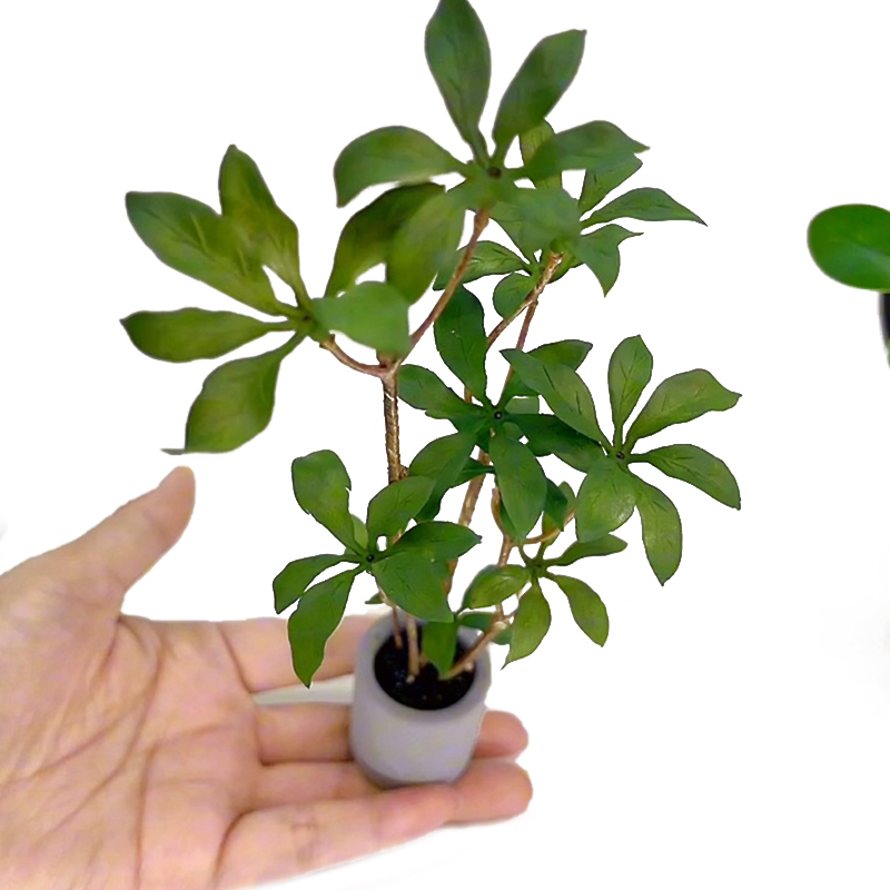 Bonsai Garden Europe - 1:6 miniatur rumah boneka Model tanaman