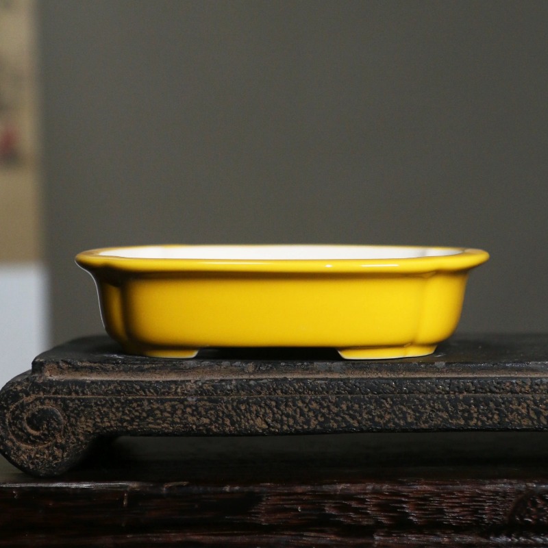 Bonsai Garden China - Pot Bonsai Persegi Panjang Porselen, Sudut