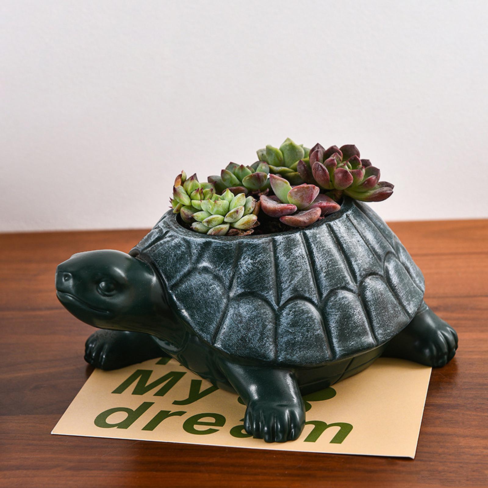 Bonsai Garden And Cafe - Pot Bunga Penyu Hiasan Meja Dekoratif
