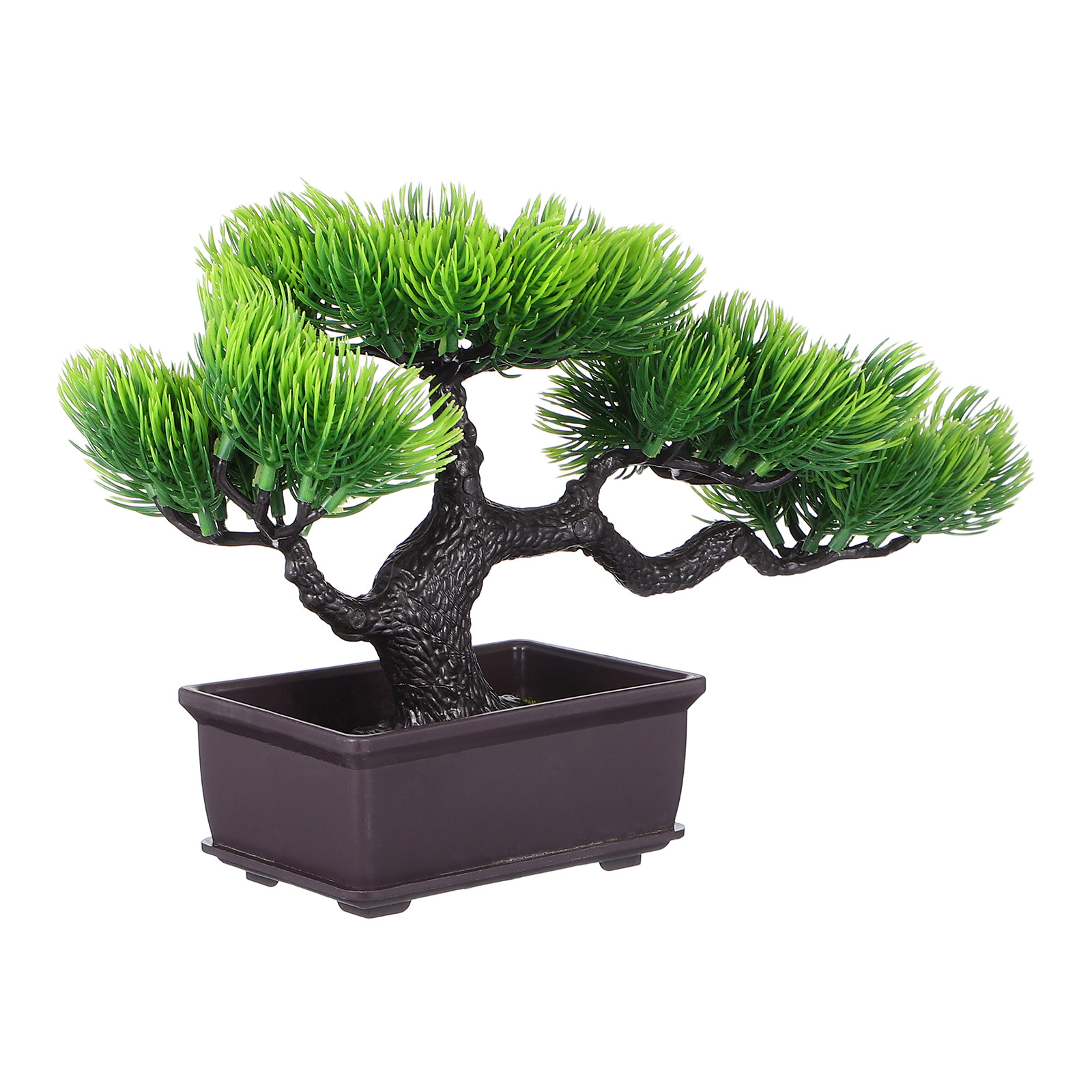 Bonsai Tree Zen Garden - Bonsai Buatan dalam Pot, Pohon Pinus