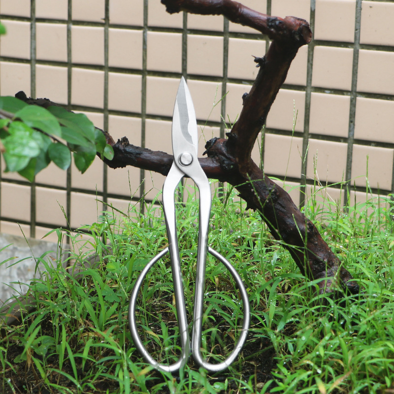 Bonsai Tool Set - Gunting taman serba baja, gunting dedaunan,
