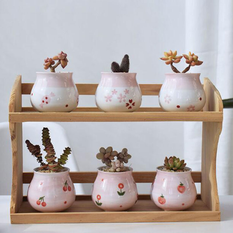 Bonsai Garden Europe - Pot Tanaman Berdaging Seri Hati Gadis