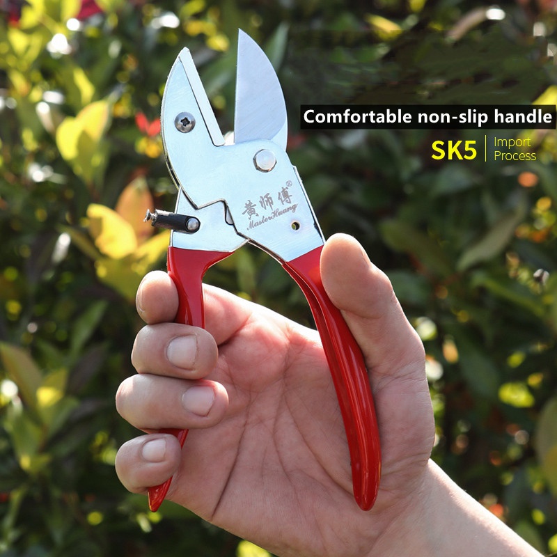 Bonsai Tool Set - SK5 gunting pangkas taman Manual, alat