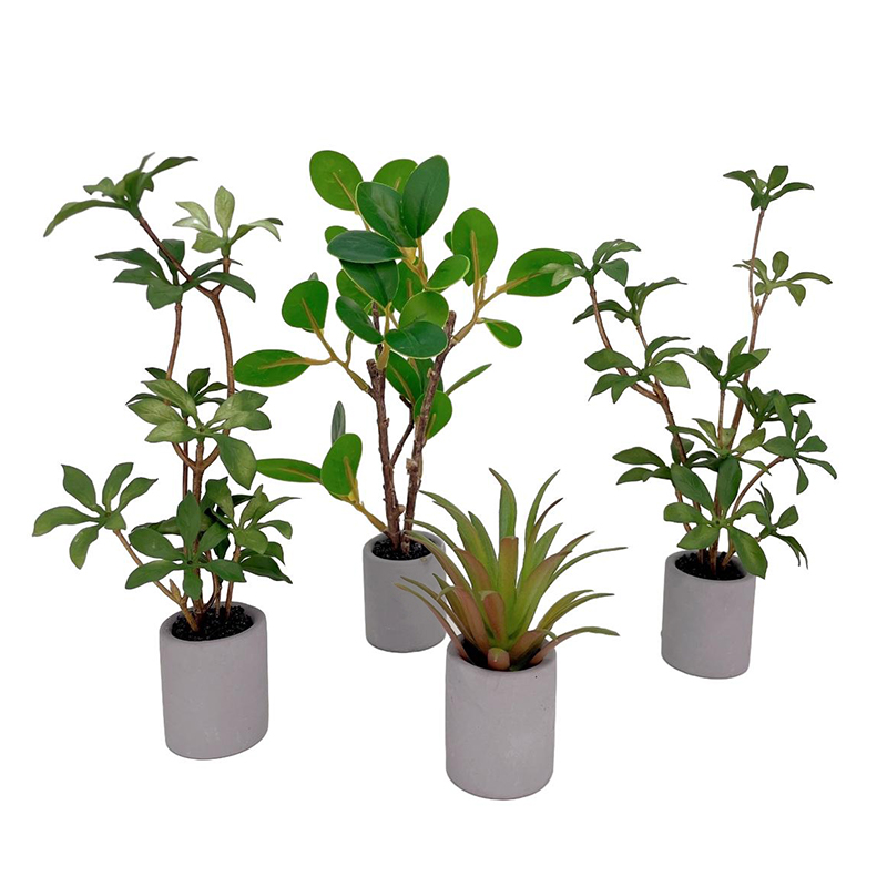 1:6 miniatur rumah boneka Mode - Bonsai Garden Europe ulasan dan harga