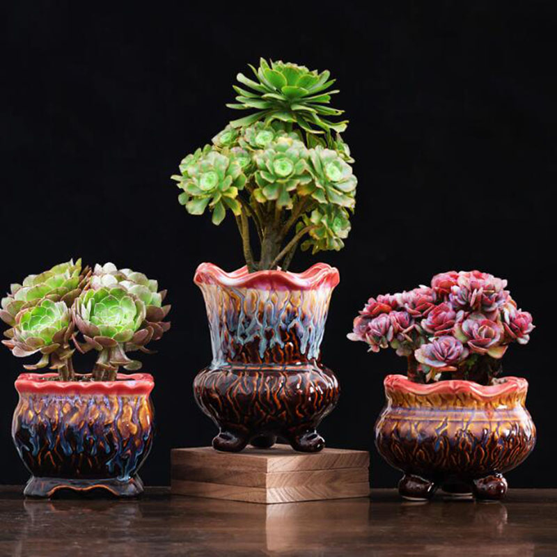 Pot tanaman Bonsai bersinar, P - Bonsai Tree Zen Garden ulasan dan harga