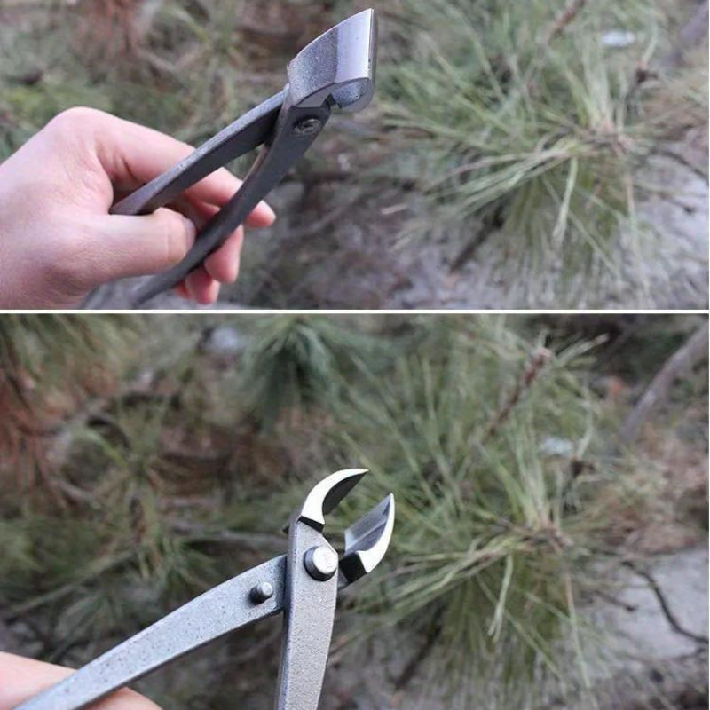 Pemotong Bonsai Bentuk Tombol, - Bonsai Tool Set ulasan dan harga