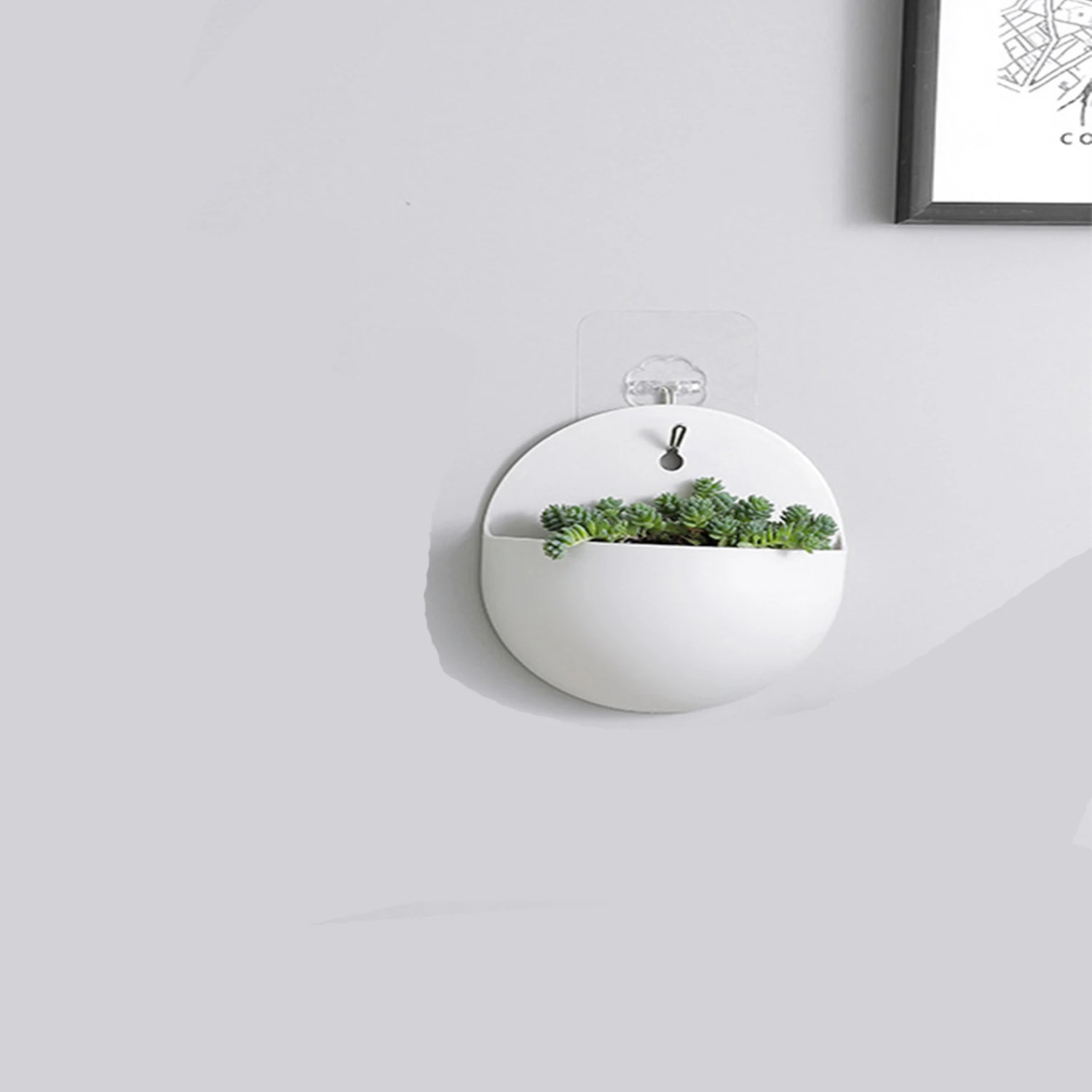 Hiasan dinding penanam bonsai  - Bonsai Garden China ulasan dan harga