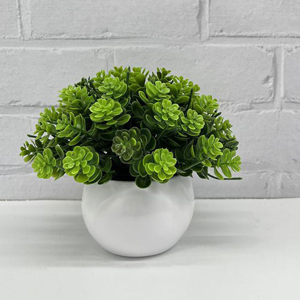 Bonsai Palsu Realistis, Tanama - Bonsai Garden And Cafe ulasan dan harga