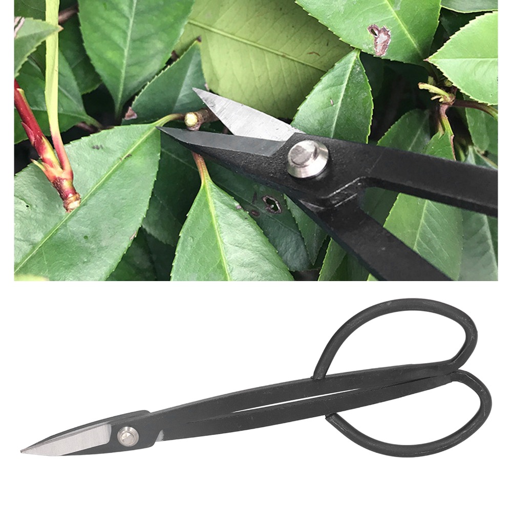 Gunting Bonsai Baja Tahan Kara - Bonsai Tool Set ulasan dan harga