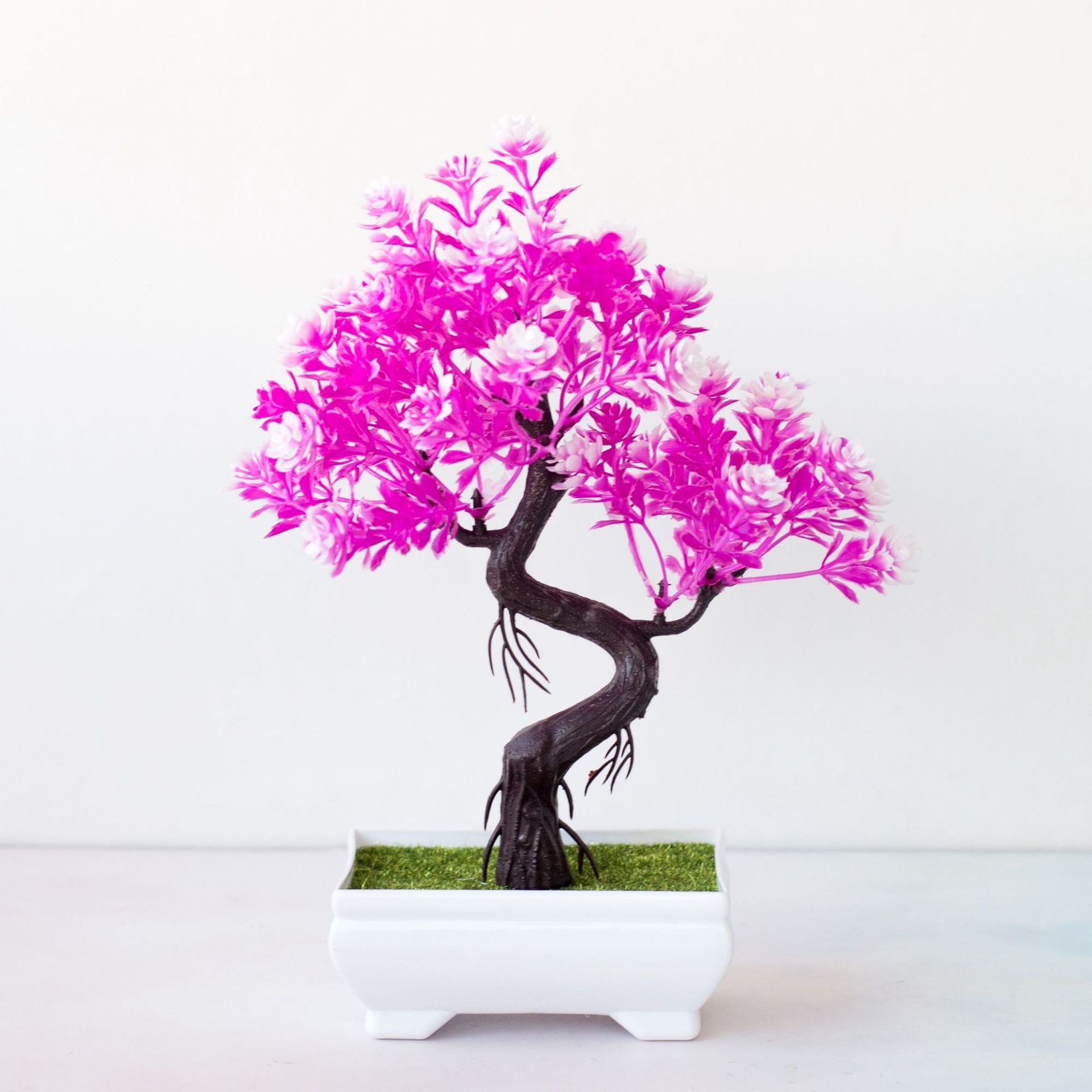 Tanaman Bonsai Buatan dalam Po - Bonsai Tree Zen Garden ulasan dan harga