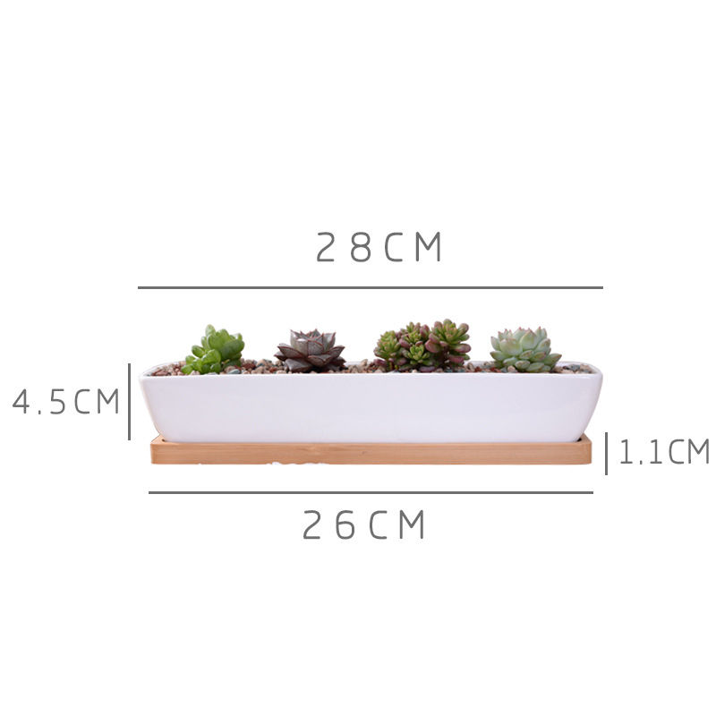 Pot Tanaman Sukulen Keramik Pu - Bonsai Tree Zen Garden ulasan dan harga