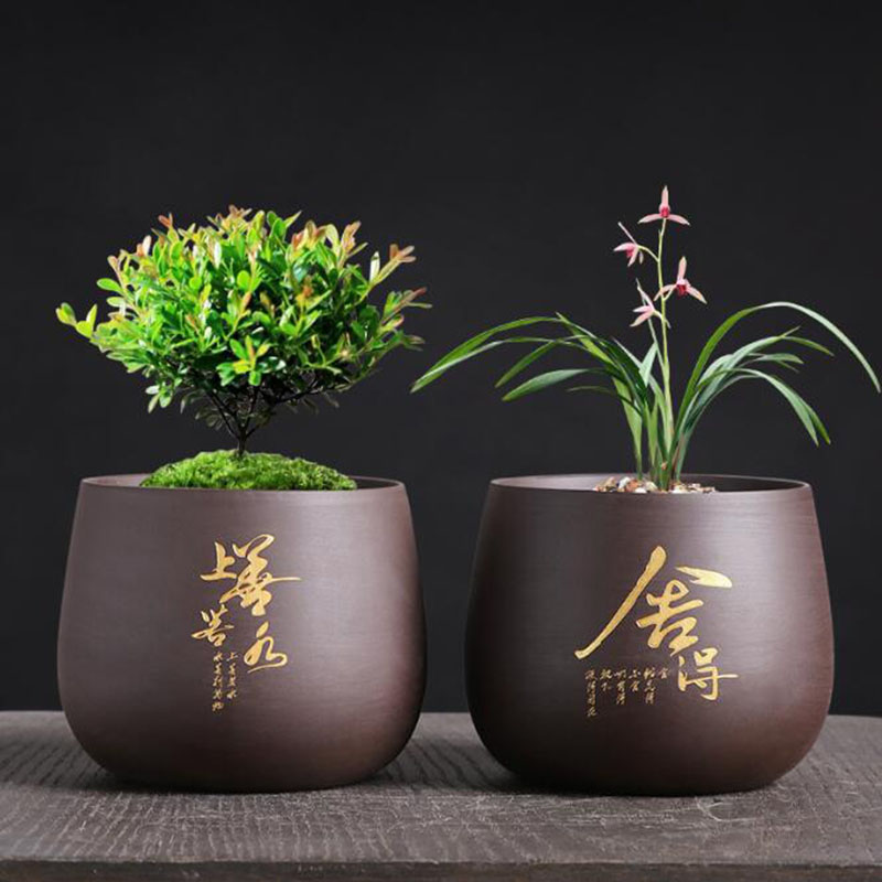 Pot tanaman anggrek vas Bonsai - Bonsai Garden Europe ulasan dan harga