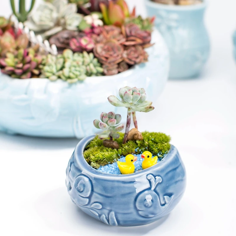 Gaya Eropa Lucu Berdaging Pot  - Bonsai Tree Zen Garden ulasan dan harga