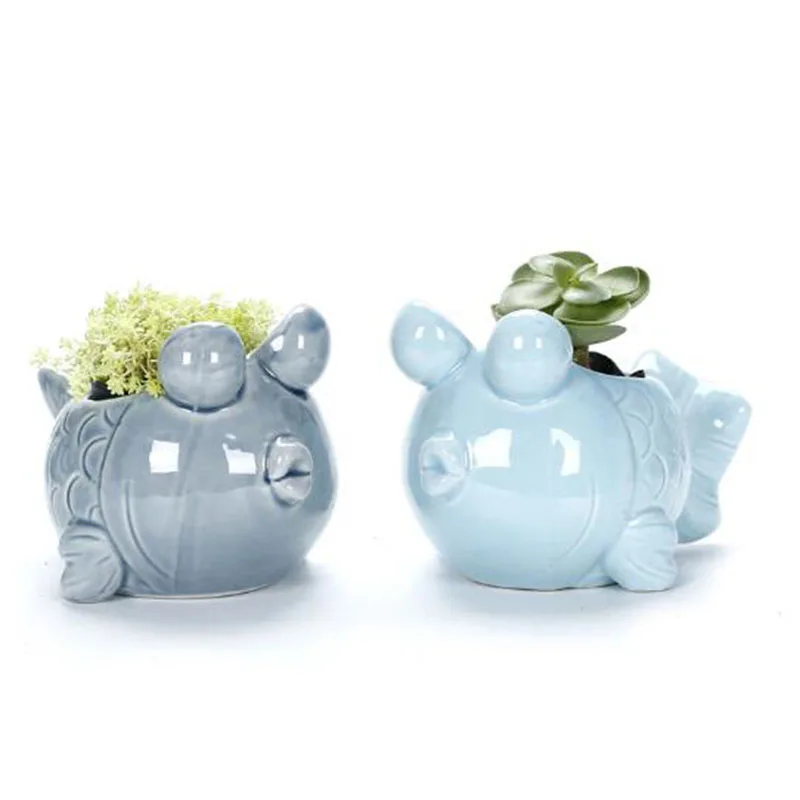 Gaya Eropa Lucu Berdaging Pot  - Bonsai Tree Zen Garden ulasan dan harga