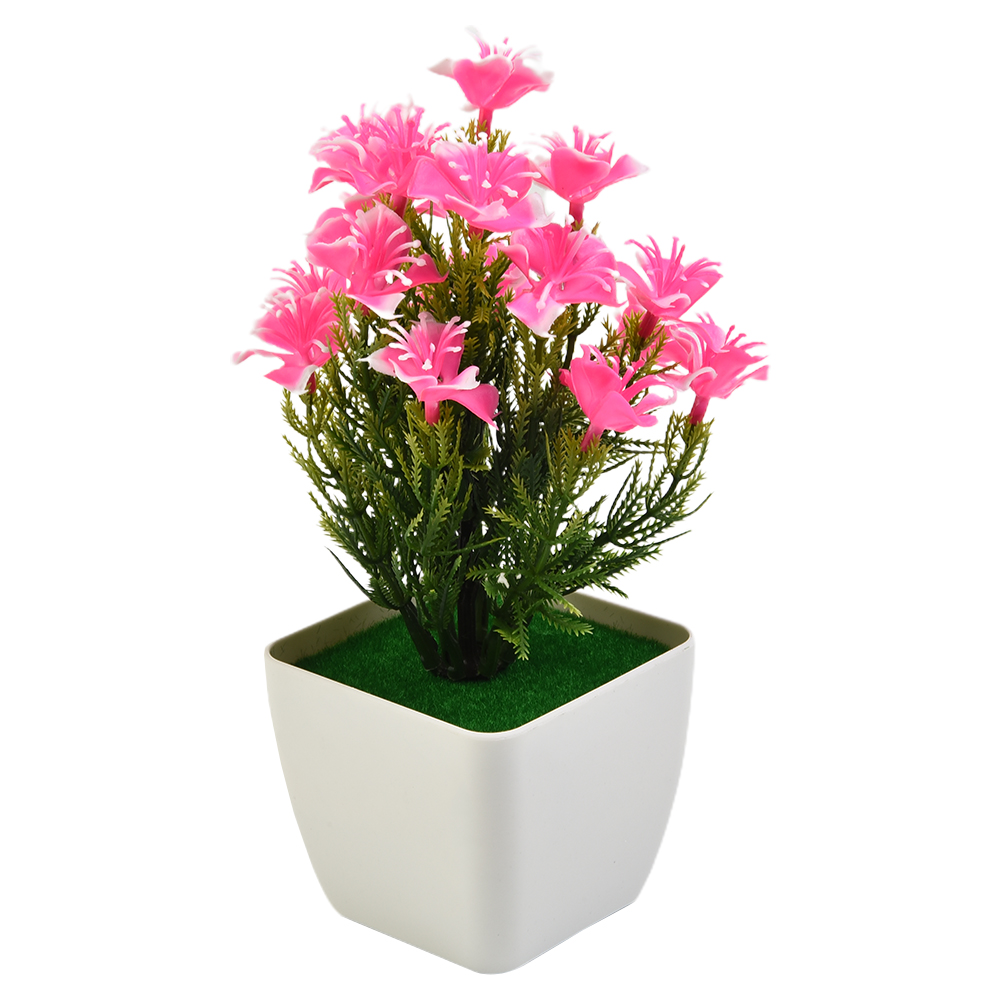 Aksesoris Baru Berkualitas Tin - Bonsai Garden China ulasan dan harga