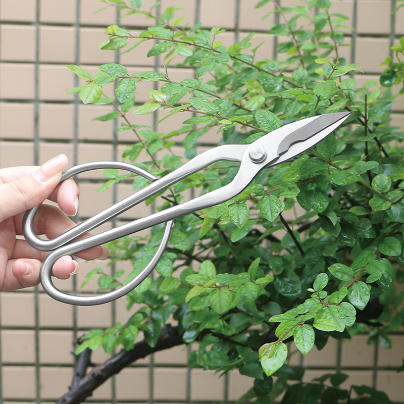 Gunting taman serba baja, gunt - Bonsai Tool Set ulasan dan harga