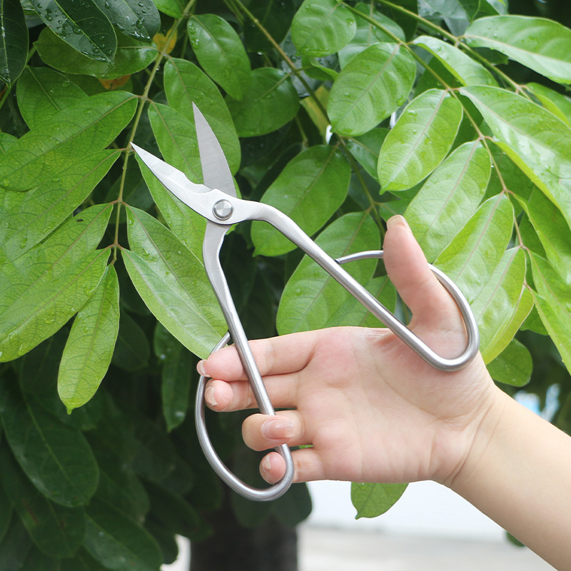 Gunting taman serba baja, gunt - Bonsai Tool Set ulasan dan harga