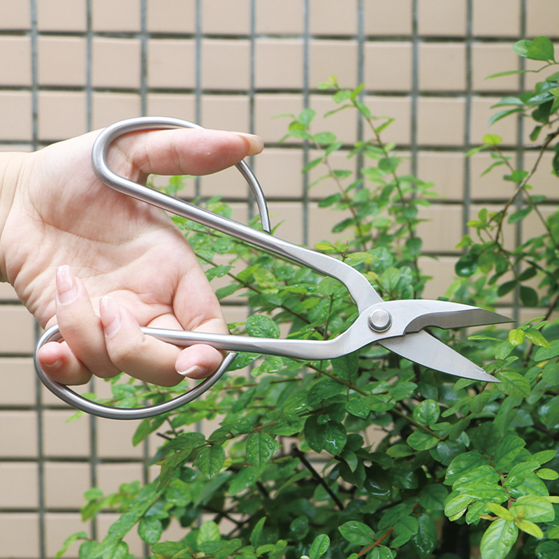 Gunting taman serba baja, gunt - Bonsai Tool Set ulasan dan harga
