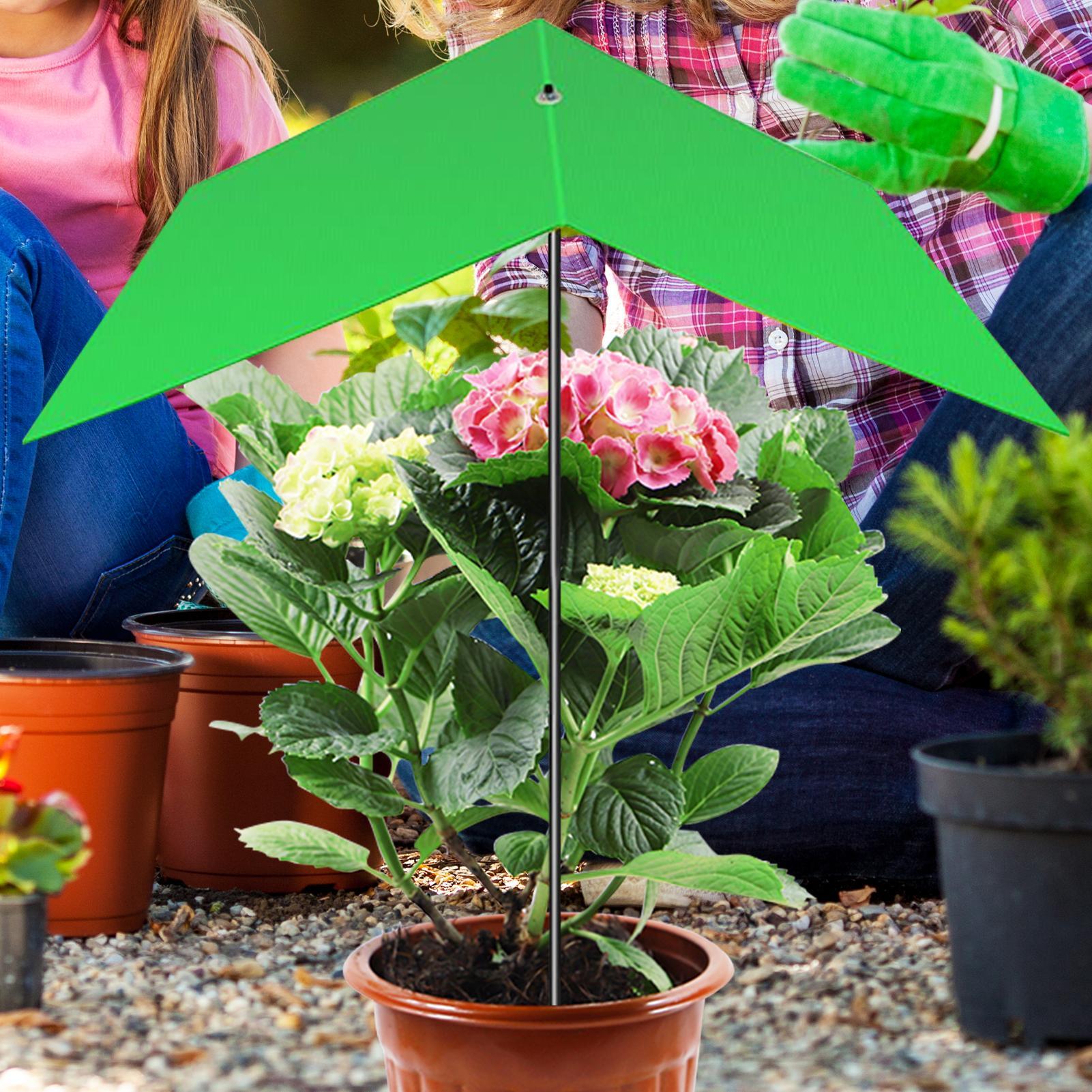 Payung Tanaman Anti-UV Penutup - Bonsai Garden And Cafe ulasan dan harga