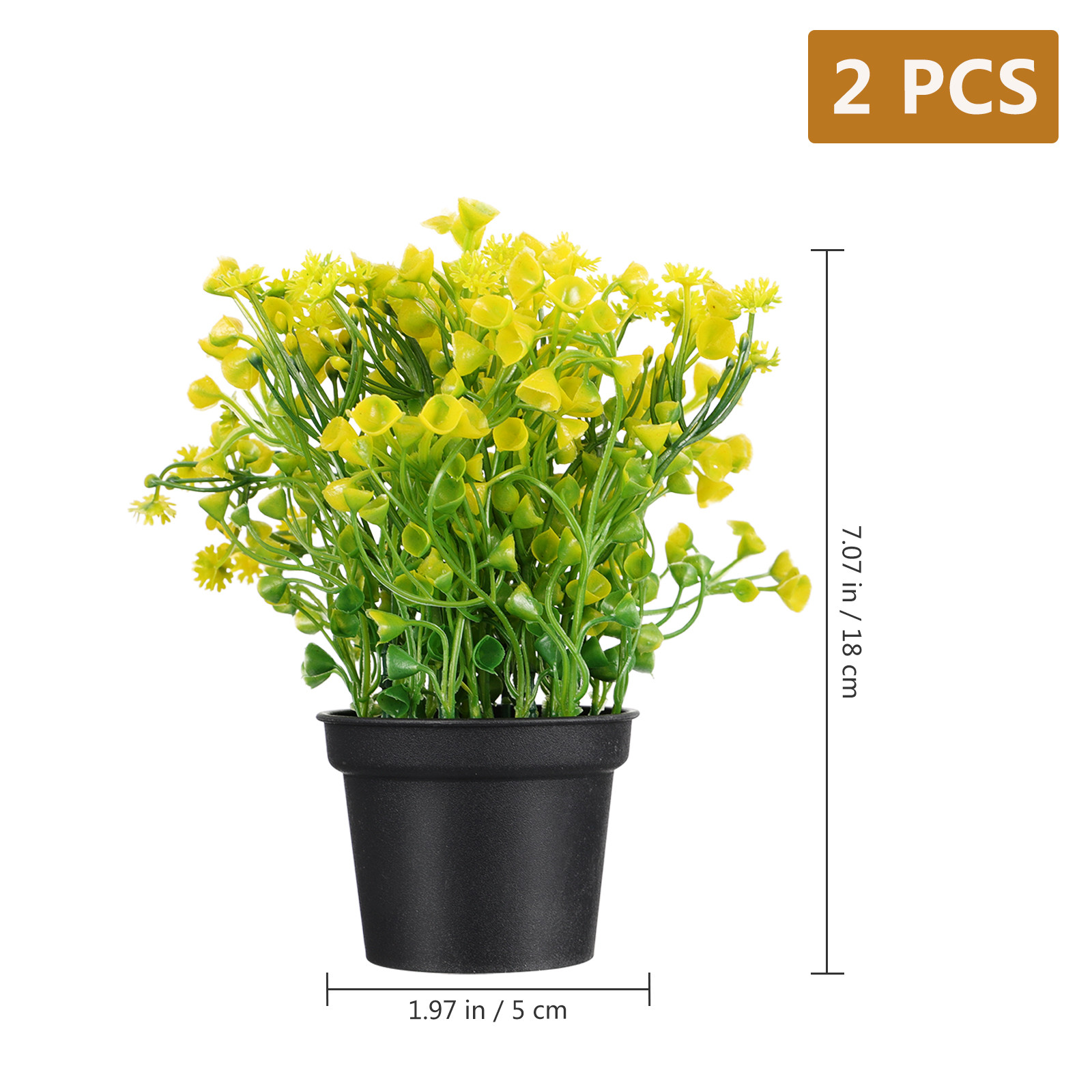 2Pcs Bonsai Rumput Lonceng Bua - Bonsai Garden And Cafe ulasan dan harga