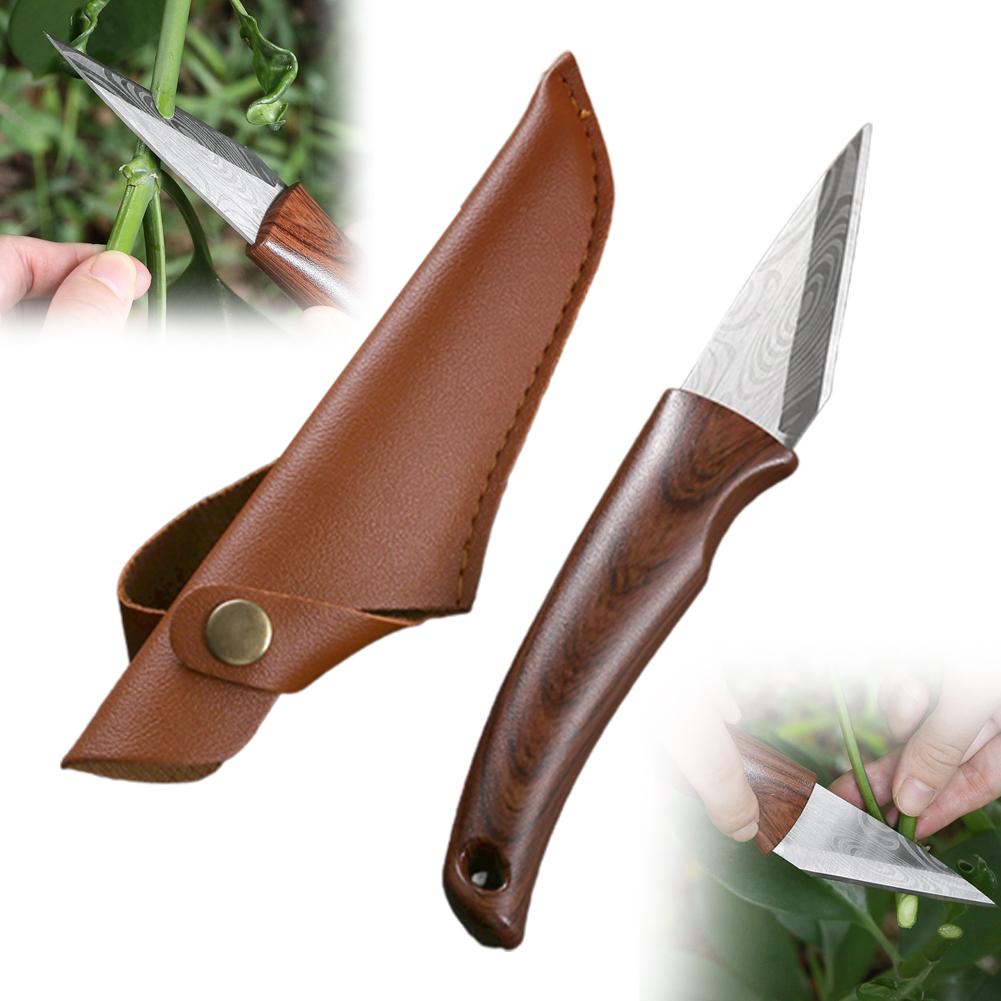 Pisau Cangkok Gagang Kayu deng - Bonsai Tool Set ulasan dan harga