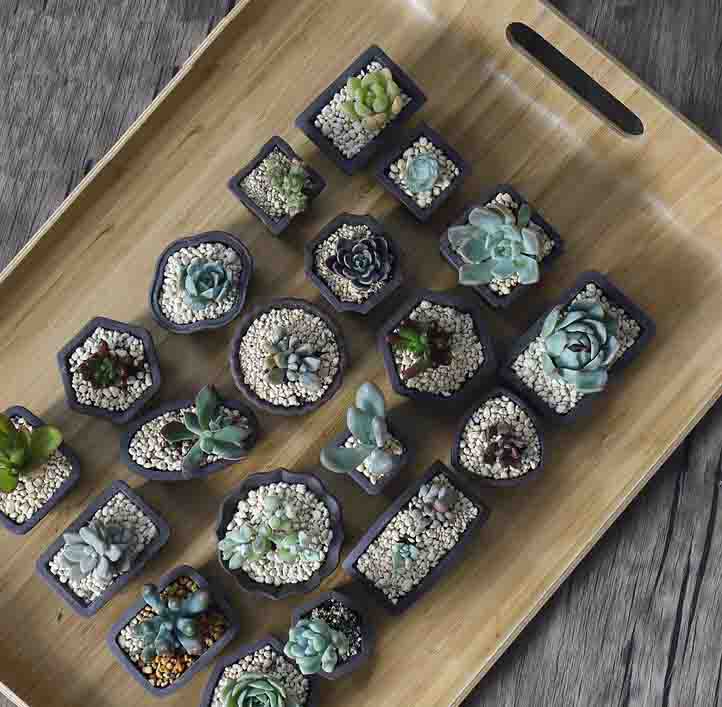 Yixing Ungu Pasir Pot Bunga Mi - Bonsai Tree Zen Garden ulasan dan harga