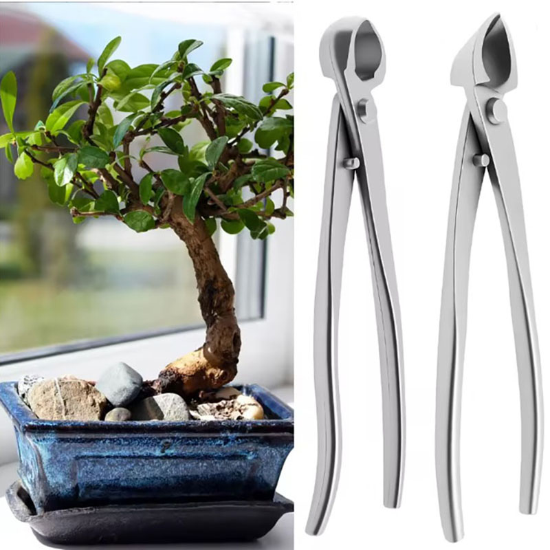 2pcs Set Alat Bonsai Baja Taha - Bonsai Tool Set ulasan dan harga