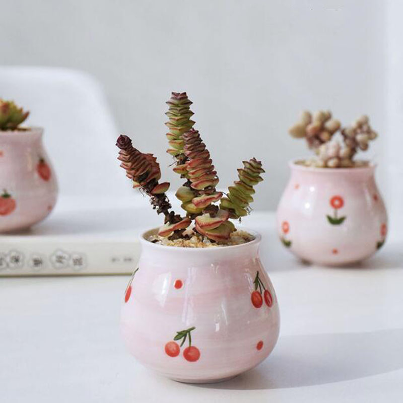 Pot Tanaman Berdaging Seri Hat - Bonsai Garden Europe ulasan dan harga