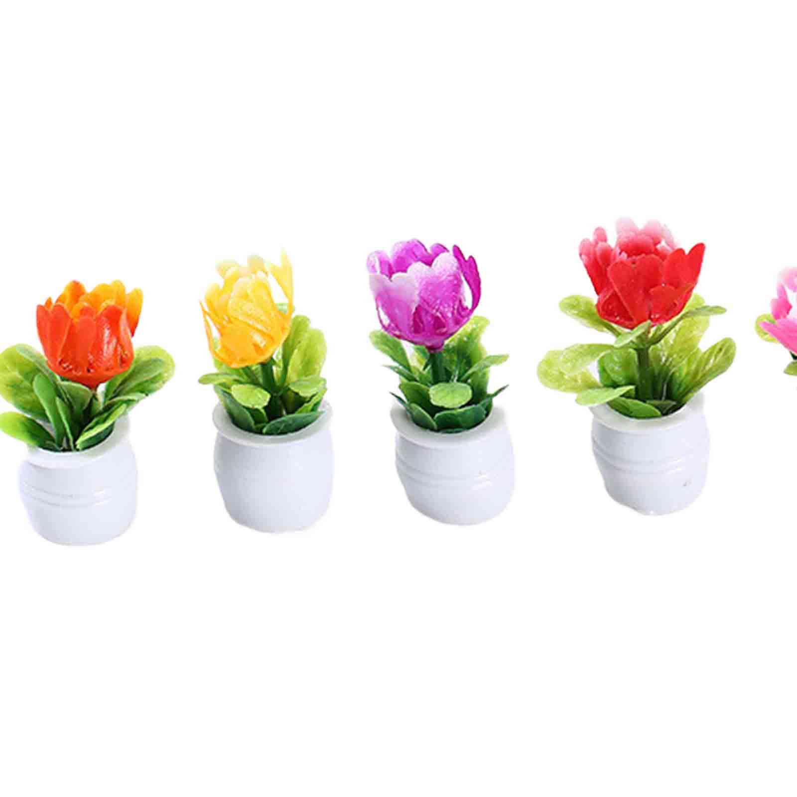 5 Buah Pot Bunga Miniatur Ruma - Bonsai Garden Europe ulasan dan harga