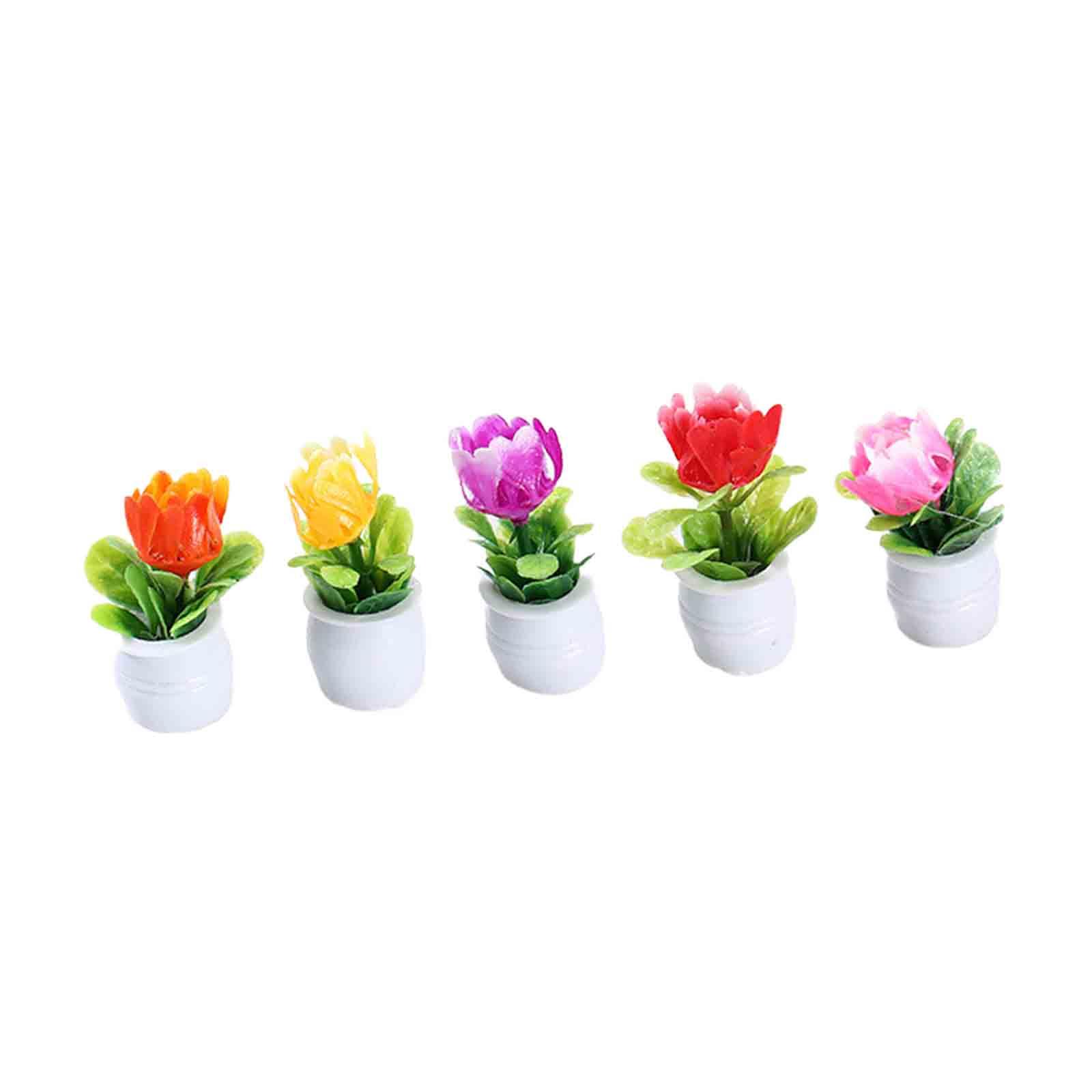 5 Buah Pot Bunga Miniatur Ruma - Bonsai Garden Europe ulasan dan harga