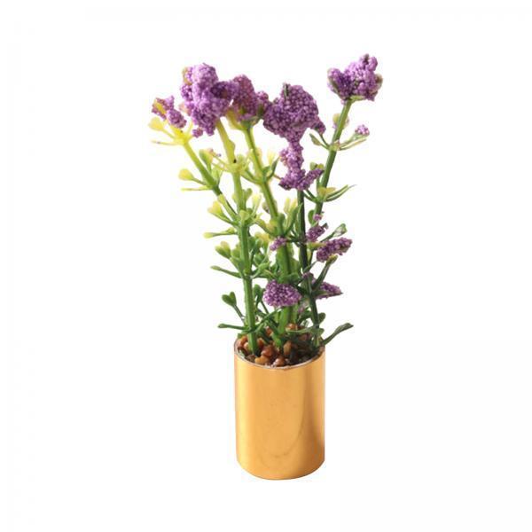 Ornamen Tanaman Pot Miniatur S - Bonsai Garden Europe ulasan dan harga