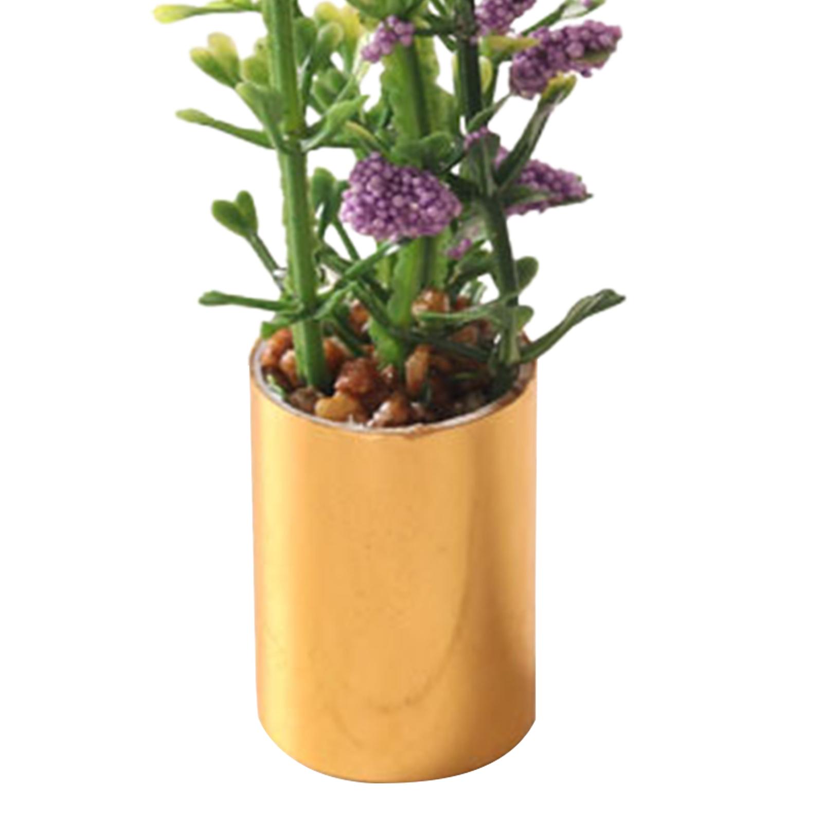 Ornamen Tanaman Pot Miniatur S - Bonsai Garden Europe ulasan dan harga