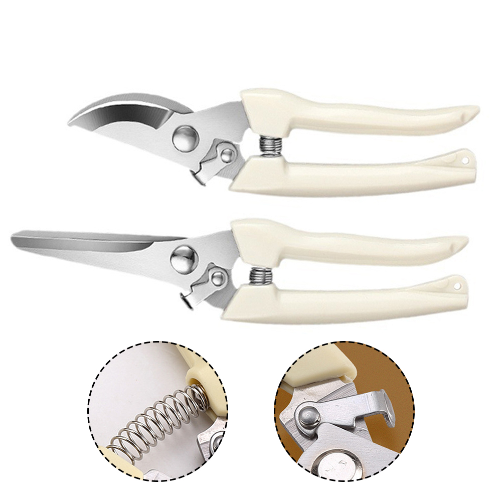Pruner gunting tangan Bonsai,  - Bonsai Tool Set ulasan dan harga
