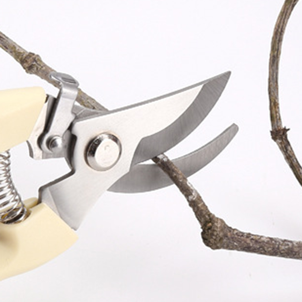 Pruner gunting tangan Bonsai,  - Bonsai Tool Set ulasan dan harga