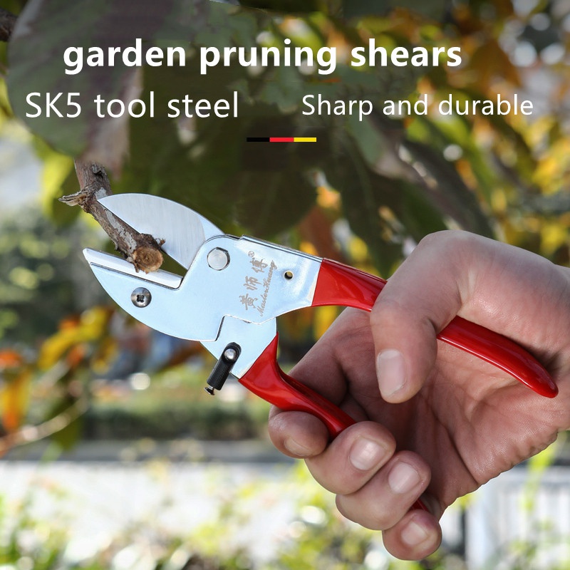 SK5 gunting pangkas taman Manu - Bonsai Tool Set ulasan dan harga
