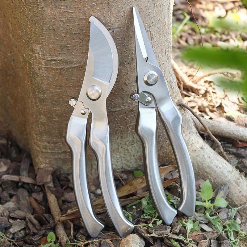 Gunting Pangkas Profesional Se - Bonsai Tool Set ulasan dan harga