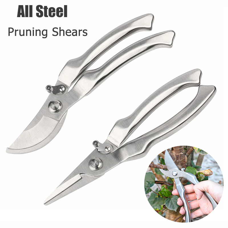 Gunting Pangkas Profesional Se - Bonsai Tool Set ulasan dan harga