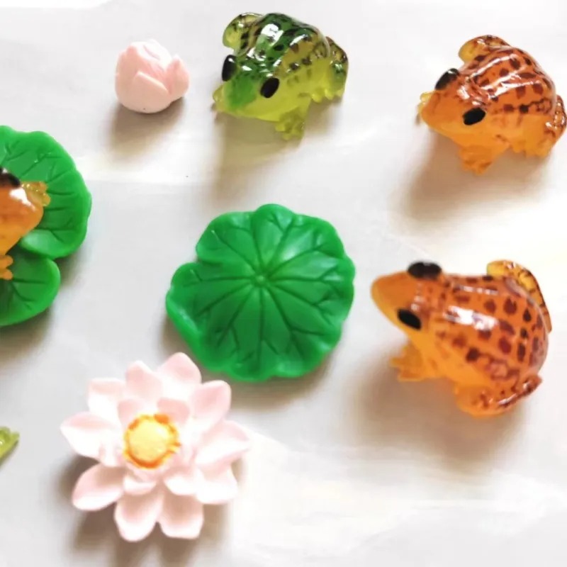 Katak Kecil Oranye Hijau yang  - Bonsai Garden China ulasan dan harga
