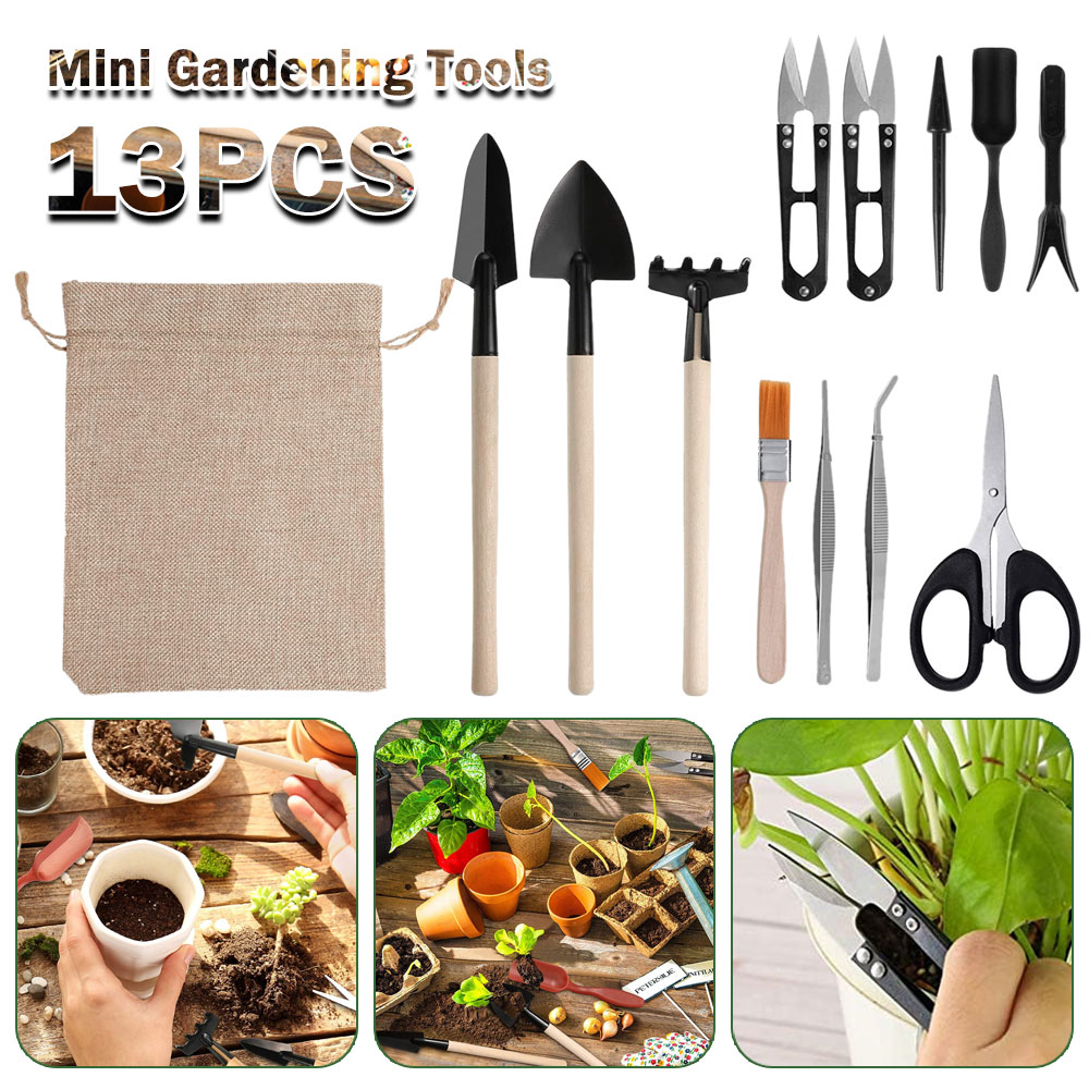 Alat Tanaman Sukulen Alat Tang - Bonsai Tool Set ulasan dan harga