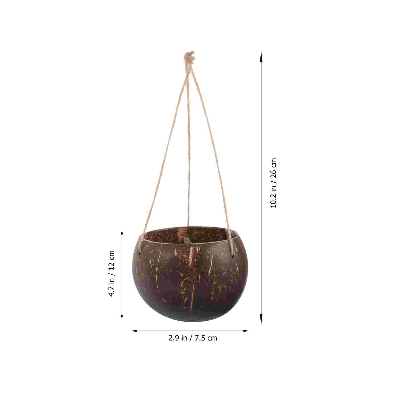 Pot bunga tempurung kelapa ala - Bonsai Tree Zen Garden ulasan dan harga