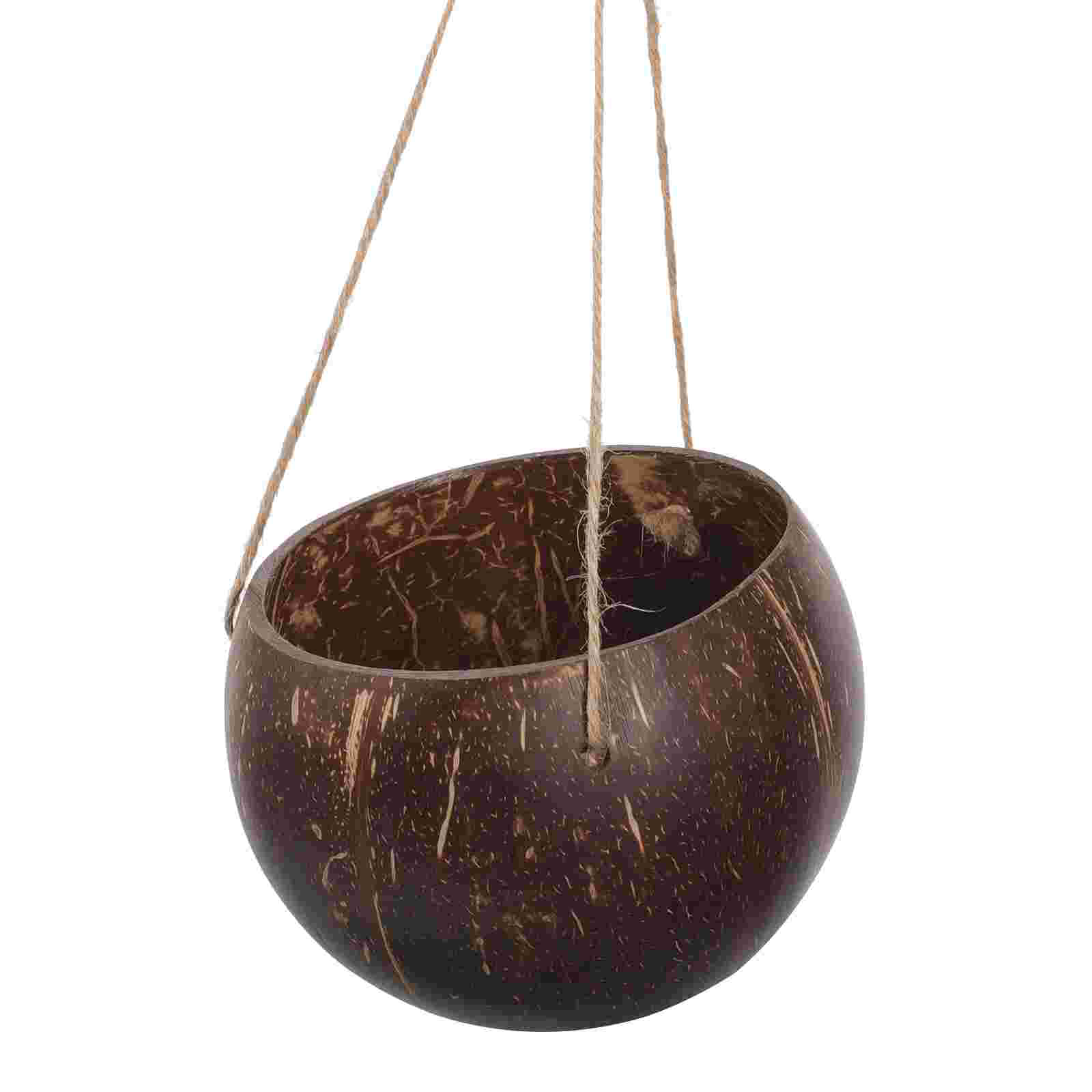 Pot bunga tempurung kelapa ala - Bonsai Tree Zen Garden ulasan dan harga